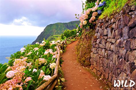 Guided Tour To Nordeste Full Day Into The Wild Azores Tours