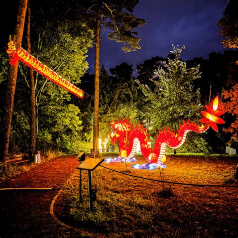 Lumina Park Poznań Botaniczna Podróż Travel Mates PL