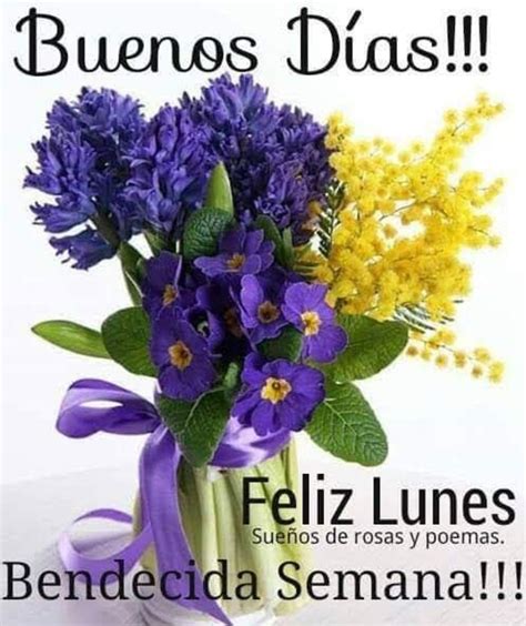 Feliz Lunes Imágenes Bellas 167