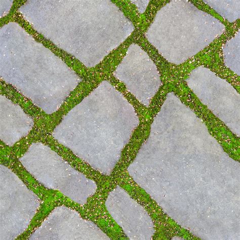 How To Plant Between Flagstones Hunker