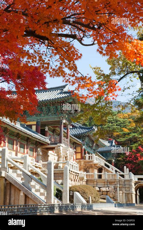 Asia, Korea, Gyeongju, Kyongju, Bulguksa Temple, Autumn, Fall, Autumn Leaves, Autumn Colours ...