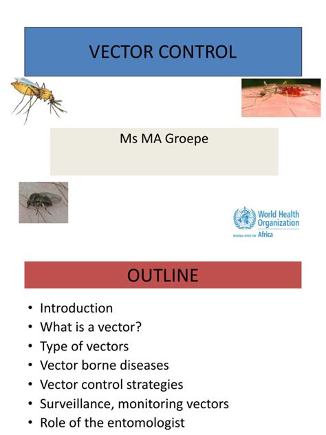 Vector Control | Download Free PDF | Vector (Epidemiology) | Mosquito