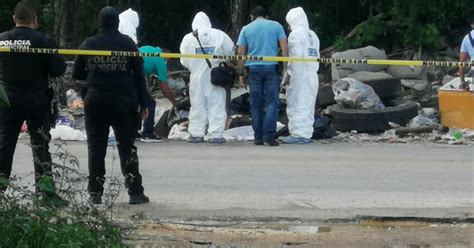 Encuentran Cuerpo Embolsado En Colonia Irregular De Playa Del Carmen