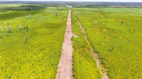 Recuperan más de 2 mil 500 hectáreas Diario de Centro América