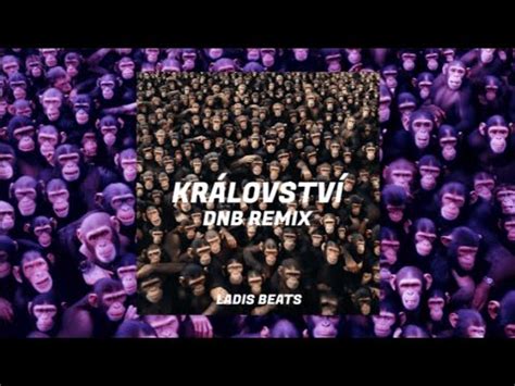 Viktor Sheen Kr Lovstv Ladis Beats Dnb Remix Youtube