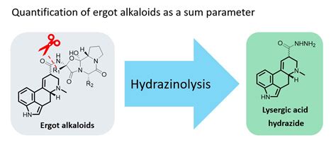 Ergot Derivatives