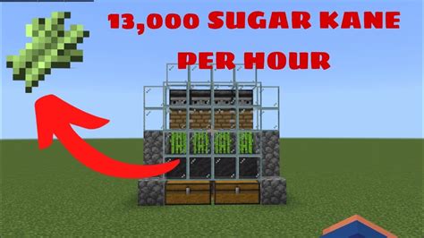 Minecraft Automatic Sugarcane Farm Tutorial Bedrock Youtube