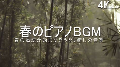 【4k】春の物語が始まりそうな、癒しの音楽【癒しbgm】🌸 春のピアノbgm ☀️ 春を彩る美しいさくらの景色と感動的でいやされるピアノの