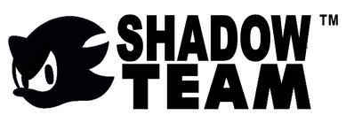 shadow team shadow  hedgehog photo  fanpop
