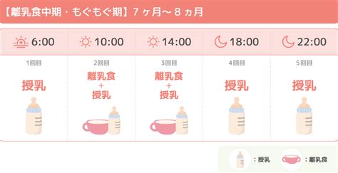 離乳食を始めるタイミングはいつから？進め方や月齢別スケジュール、注意点も紹介 エナレディースクリニック