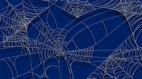 Premium Vector | Spider web on dark background halloween design ...