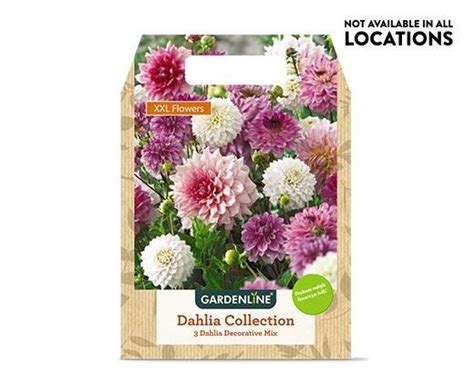 Gardenline Mixed Spring Bulbs Assorted Varieties Aldi Usa