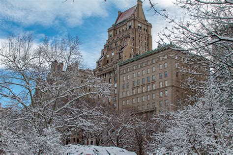 Nevasca No Central Park Fotos Do Central Park Em Nova York No Inverno