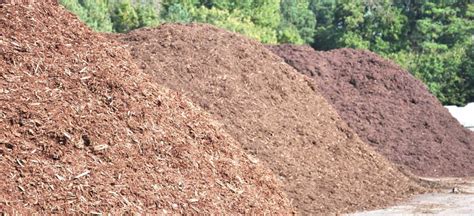 The Dangers Of Mulch Volcanoes Premier Tree Solutions