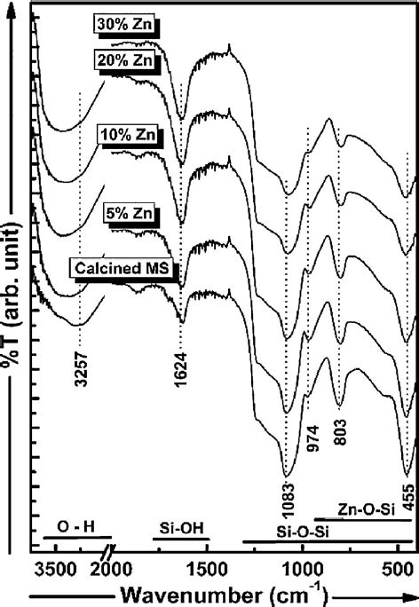 Fourier Transforms Infrared Ftir Spectra Of Calcined Ms And Znoms