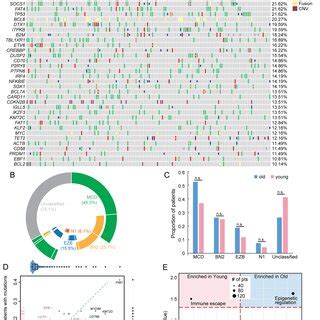 High Intermediate High Ipi Score Tp And Fat Mutations Are