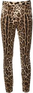 Dolce And Gabbana Leopard Print Leggings 787 Lookastic