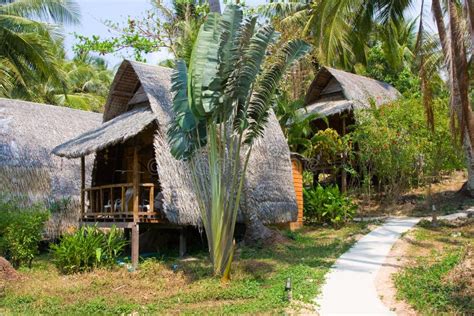 Beach Bungalow , Thailand . Stock Photo - Image of forest, landscape ...