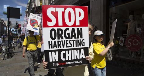 Human Rights Group Finds Evidence Of Forced Organ Harvesting In China