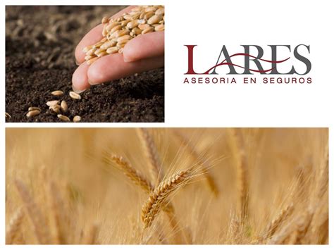 SEGUROS PARA AGRO El seguro agrícola que creamos en LARES ASESORES