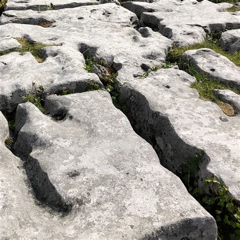 Where Growth Takes Root | Kate McKinney