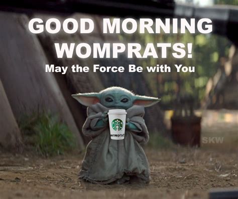 Good Morning Womprats Yoda Funny Yoda Meme Best Star Wars Quotes