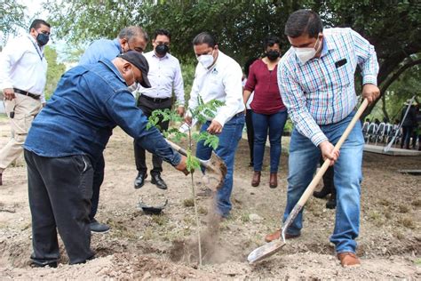 El Parque Vivero Las Auras Y El Victoria De Lerdo Son Reforestados En