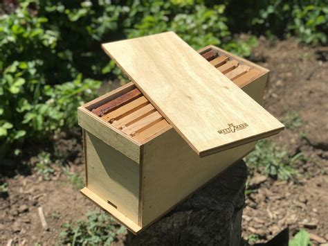 Deep Frame Bee Nuc Box Mating Nuc Swarm Trap Option To Etsy