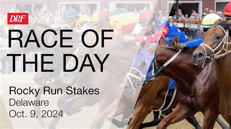 DRF Wednesday Race Of The Day Rocky Run Stakes October 9 2024