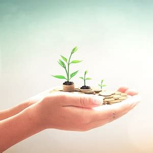 finances gods  compass australia