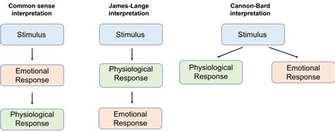 Emotions Overview Introduction To Neuroscience