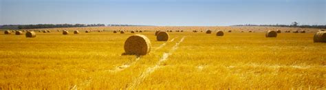 How to Become a Professional in Agrology | Agrologists Agronomes Canada