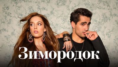Сериал Зимородок 1 сезон 32 серия смотреть онлайн в хорошем качестве
