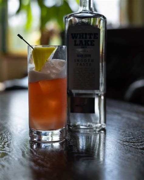 Bay Breeze Cocktail Recipe - DrinkExistence