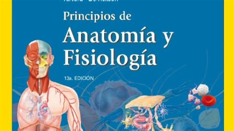 Anatomia Y Fisiologia Del Cuerpo Humano Libro Leer Un Libro