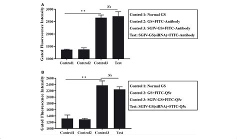 Absence Of Competition For Binding Sites In Sgiv Infected Cells