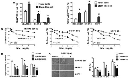 The Combination Of Nvp Bkm120 With Trastuzumab Or Rad001