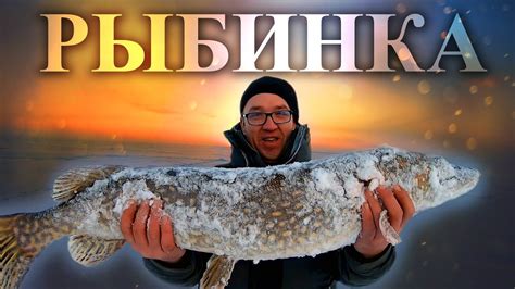 РЫБИНКА СНЕЖНАЯ ПУСТЫНЯ || Поймали щуку мамку || Рыбинка в ДЕКАБРЕ ...