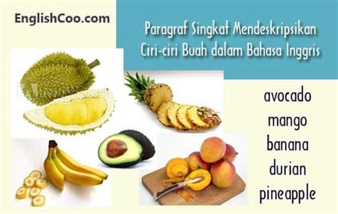 Nama Buah Dalam Bahasa Inggris Dan Artinya Serta Cara Membacanya