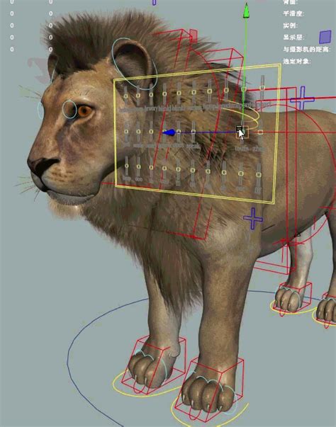 写实狮子 maya美洲狮猫科动物adv四足绑定写实野兽模型带模型 哺乳模型库 FBX fbx 模型下载 cg模型网