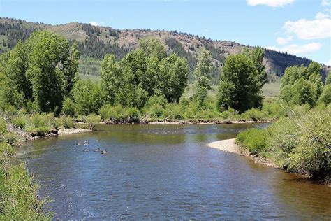 Fraser Plateau and Basin Conifer Forests | One Earth