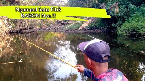 HATI SEDIH JADI BAHAGIA Kalau Mancing Ikan Wader Di Sini YouTube