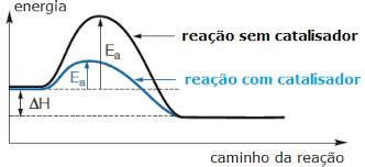 Catalise Homogenea E Heterogenea - Catálise: homogênea, heterogênea e enzimática