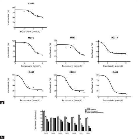 Effect Of Inhibition Of Vegfr And Its Downstream Target Pkc On