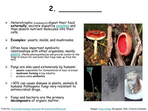 Ppt About Science Prof Online Powerpoint Resources Powerpoint Presentation Id4996744