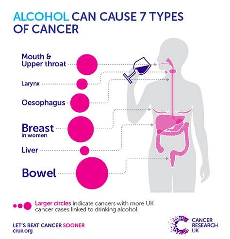 How Booze Damages Dna Inside Cells Alcoholandcancer