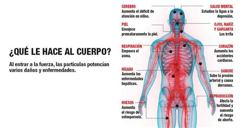 Efectos De La Contaminación En La Salud Humana Semana