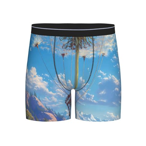 Easygdp Dandelion Hot Air Balloon Men S Boxer Briefs Mens Underwear Boxer Briefs For Men