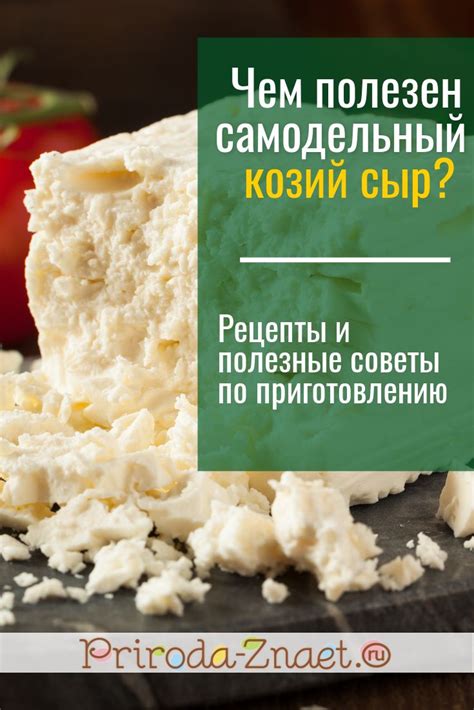 Сыр из козьего молока: рецепты приготовления | Ethnic recipes, Food, Rice
