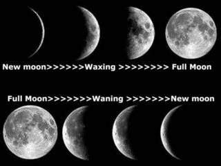 What Moon Phase Were You Born Under Astrological Counsel